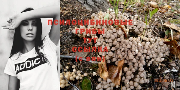 spice Армянск